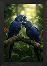 Two Hyacinth Macaws on Mossy Branch Framed Wall Art Poster Canvas Print Picture