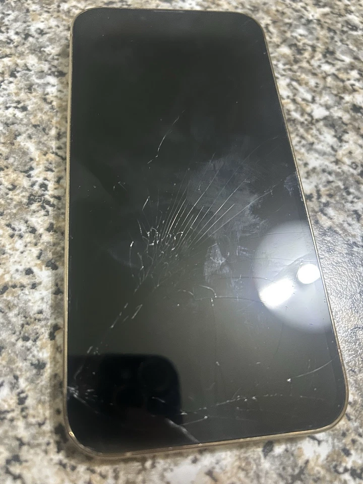 Apple iPhone 13 Pro - 128GB - Oro (Leggi Bene la descrizione) - Immagine 2 di 4