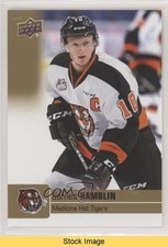 2019-20 Upper Deck CHL Gold Glossy James Hamblin #116 READ ek6
