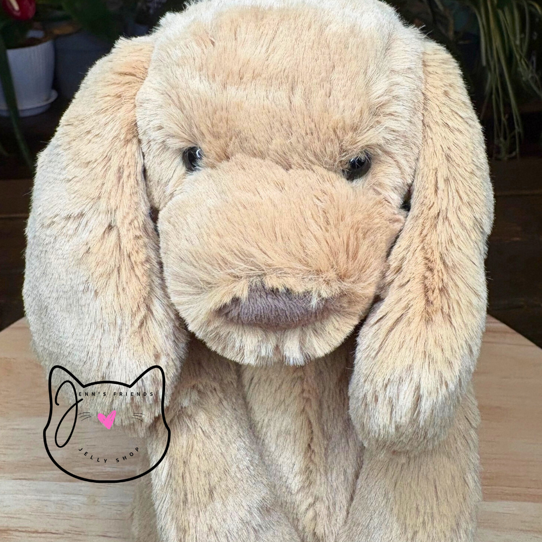 Jellycat Original BASHFUL TOFFEE PUPPY New BNWT Medium Soft Plush