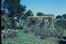RED BORDER SLIDE Rose garden with trellises, diverse flowers, green lawn.