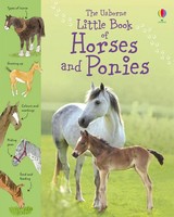 Little Book Of Horses And Ponies | Sarah Khan | Englisch | Buch | Little Books