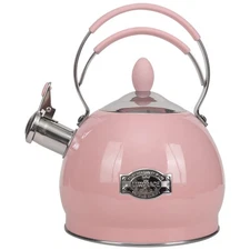 Whistling Tea Kettle 2.6 Quart Stainless Steel Teapot for Induction Stove