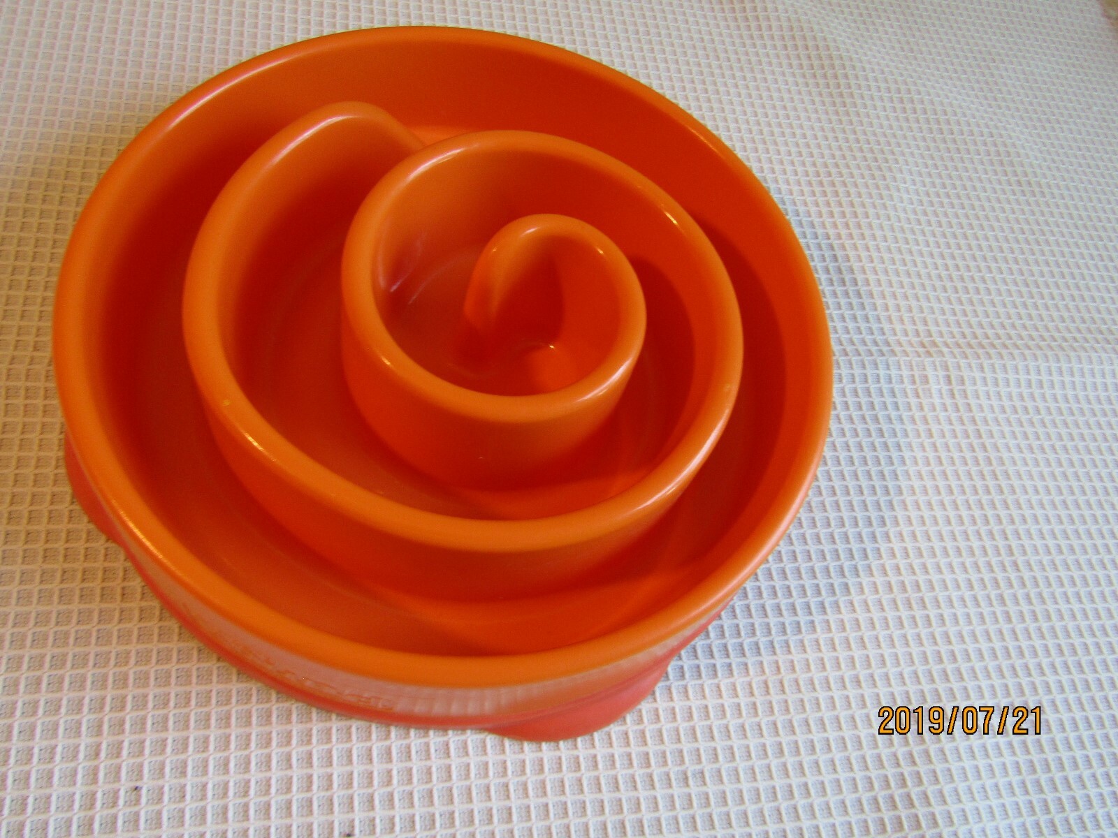spiral dog bowl