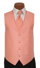 Men's Jean Yves Coral Pink Tuxedo Vest with Long Tie Free Shipping Size Large