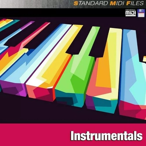 Pro MIDI File Floppy Disk - Instrumentals - Picture 1 of 2