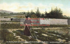 CA, Santa Barbara, California, Santa Barbara Mission, Farmer Priest, Rieder