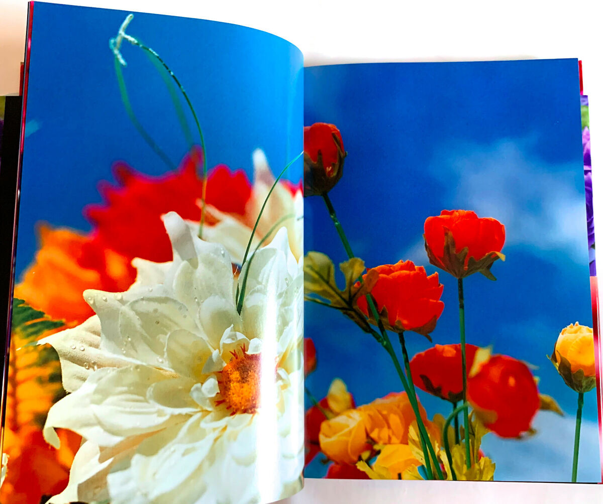 MIKA NINAGAWA Everlasting Flowers JAPAN PHOTO BOOK 2012 w MIKA NINAGAWA Everlasting Flowers JAPAN PHOTO BOOK 2012 w