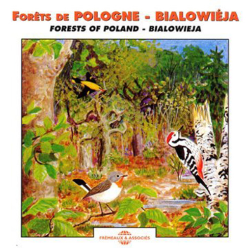 Various Artists Forets De Pologne - Bialowieja: Forests of Poland - Bialowi (CD)