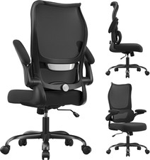 Ergonomic Mesh Office Chair with Lumbar Support  Flip-Up Armrests - Black/Silve