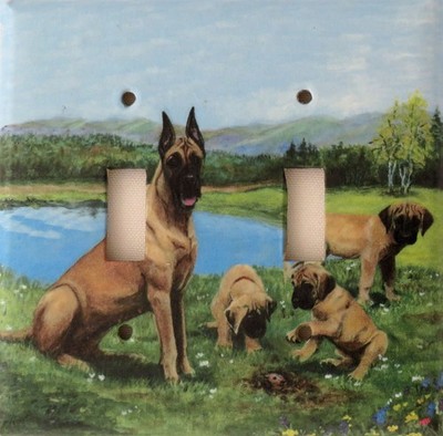 Great Dane Art Printed on a Double Toggle light switch plate, made in USA