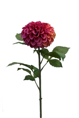 künstliche Pompon Dahlie rot fuchsia pink  H. 74cm Emerald Kunstblumen