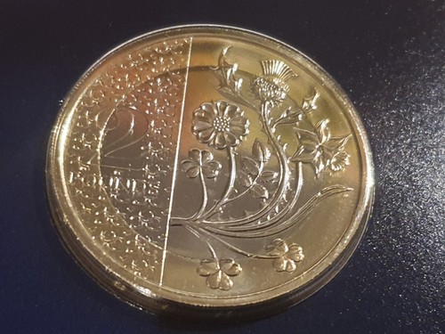 KING CHARLES III DEFINITIVE TWO POUND £2 COIN 2023 FLOWERS PRIVY MARK CBU - Picture 3 of 5
