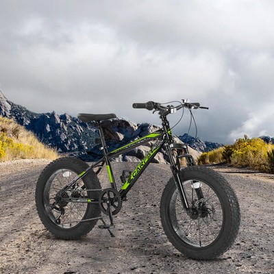 20 Inch Mountain Bike for Kids and Teenagers,High Carbon Steel Frame,Disc Brakes