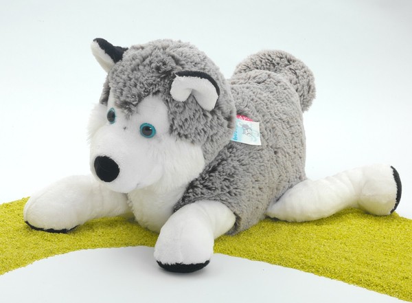 Schaffer PlüSchtier Hund Schlittenhund Husky 43Cm-image