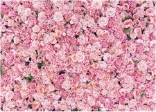 WOLADA Flower Wall Backdrop Pink Rose Floral Photography Backdrop Ideal for Wedd