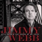 still Within The Sound Of My Voice 0099923239529 CD