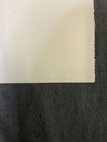 Ian Tyson 1964 Limited Edition Art Print Signed and Titled - Picture 4 of 7