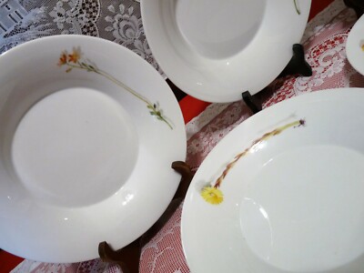 CHOICE: M Berlin BERLIN PIANTA Decor 46 - LOT 2  SOUP PLATES w/  WILD FLOWERS