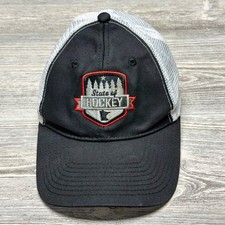 Minnesota Wild Collecting and Fan Guide 39