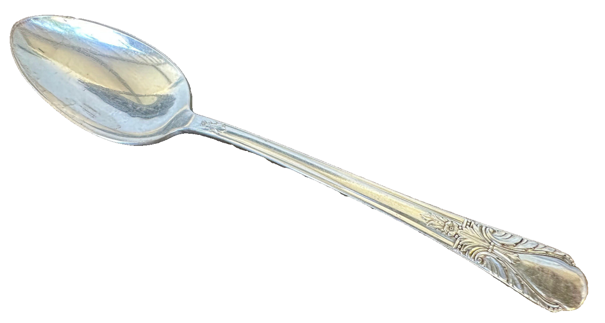 1 Teaspoon Tea Spoon Wm Rogers Avalon Cabin International