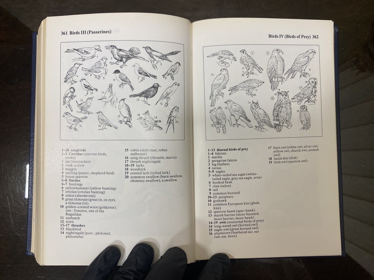 Oxford-Duden Pictorial English Dictionary Pheby， John Oxford-Duden Pictorial English Dictionary Pheby， John THE