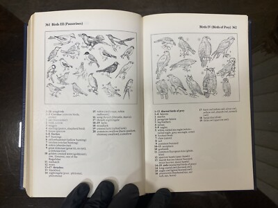 THE OXFORD-DUDEN PICTORIAL ENGLISH DICTIONARY, SECOND