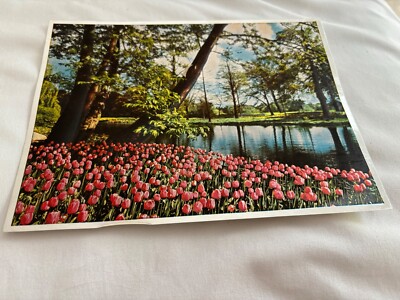 Vintage Dufex 3D Foil Tulips By The Lake Holographic Scenic Photo