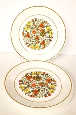 Vintage Corelle Dinnerware Indian Summer Salad Plates 8 1/2" Quantity of  8