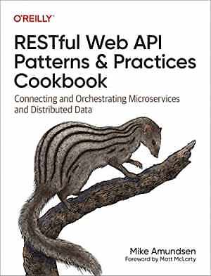 RESTful Web API Patterns and - Paperback, by Amundsen Mike - Acceptable n