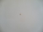 Bild 6 von 7