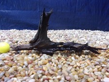 Small Driftwood 07"x15"x02" Aquarium Terrarium Reptile Natural Art