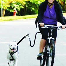 Dog Bike Leash with Quick Connect Shock Absorbing Accessory Easy to Install