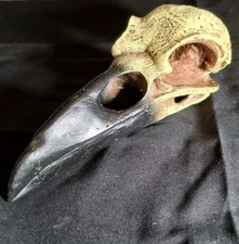 Raven Skull Crow Bird Corvid Resin Replica Gothic Decor Figurine Model Halloween