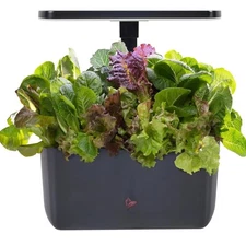 AeroGarden Harvest 2.0, Indoor Garden Hydroponic System