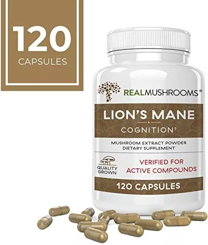 Lion's Mane and Chaga Supplements Review & Top Picks 