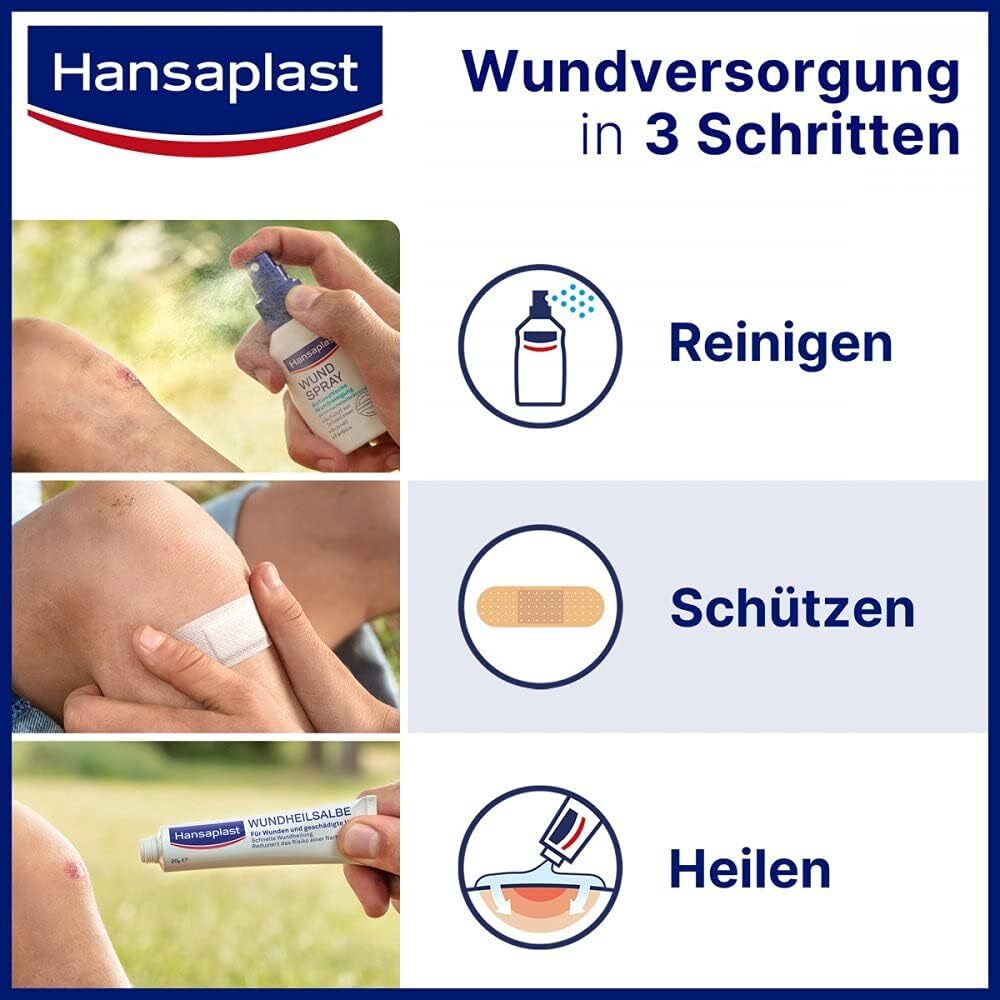Bild 5 von 12