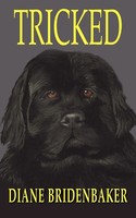 Diane Bridenbaker | Tricked | Taschenbuch | Englisch (2005) | Authorhouse