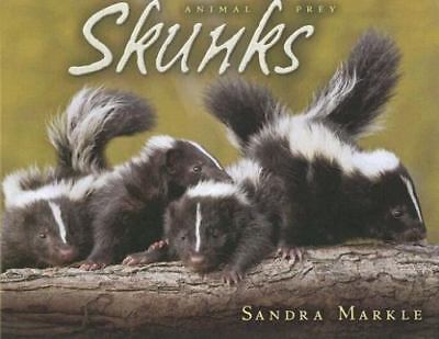 skunks prey