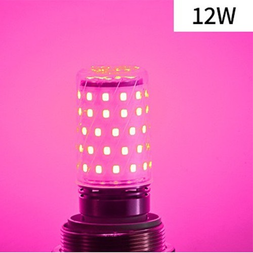 E27 Led Colorful Corn Bulb Smd2835 Chip No Flicker Lamps 270 Degree Beam Angle - Picture 11 of 13