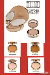 Milani Foundation Chart