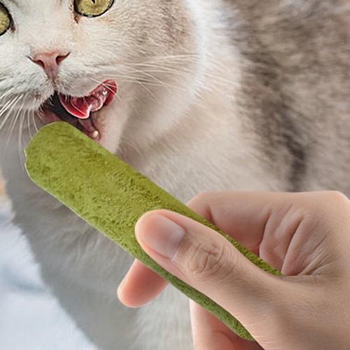Cat Kitten Chew Sticks Cat Toys Natural Hairball Removal Chew Toy Teeth Cleaning - Picture 8 of 12