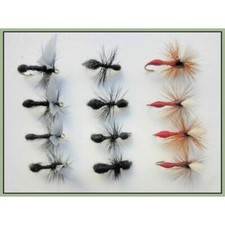 Ant Flies, Dry Trout Flies, 12 x Winged, Traditional & Red Ant Size 12/14/16