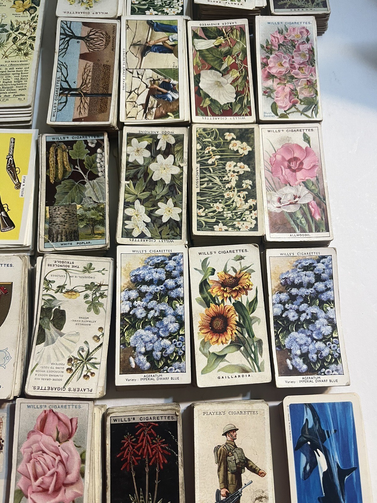 Massive Lot British Cigarette Tobacco Cards PlayersWingsWillsMixed