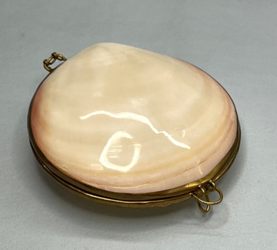 Antique Shell MOP Mother of Pearl & Brass Trinket box