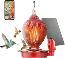 Smart Hummingbird Feeder with Camera, 2K HD Solar Panel Glass Bird Feeder with N