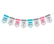 Gender Reveal Baby Shower 45" Bunting Decoration Boy or Girl Beau or Bow