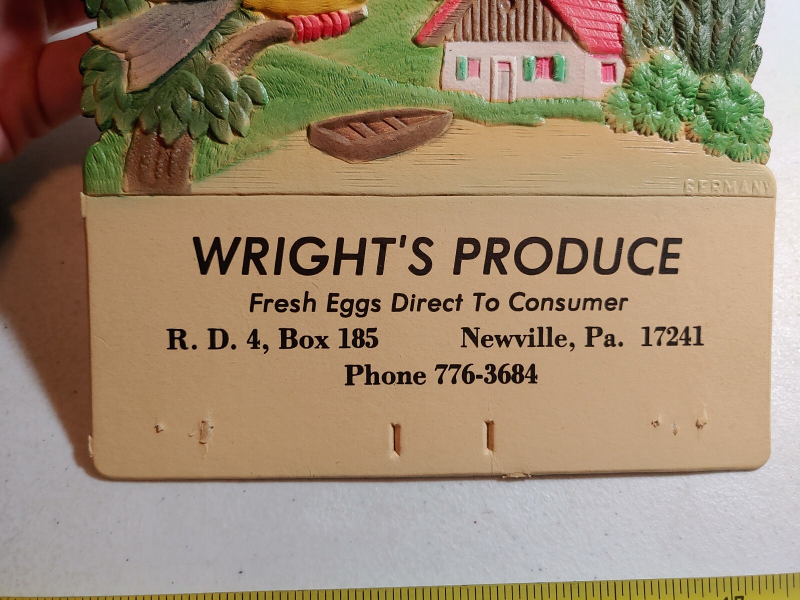 Vintage Wright's Produce Eggs Newville PA Advertising Birds Cardstock