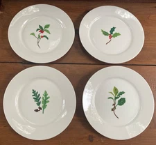 Crate & Barrel Leaf Sprig & Holly 8” Salad Appetizer Dessert Plates ~ Set of 4 ~