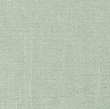 Thibaut INDOOR OUTDOOR Performance Chenille Fabric- Veda / Aloe 3 yds W8717